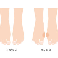 初めてのブログ